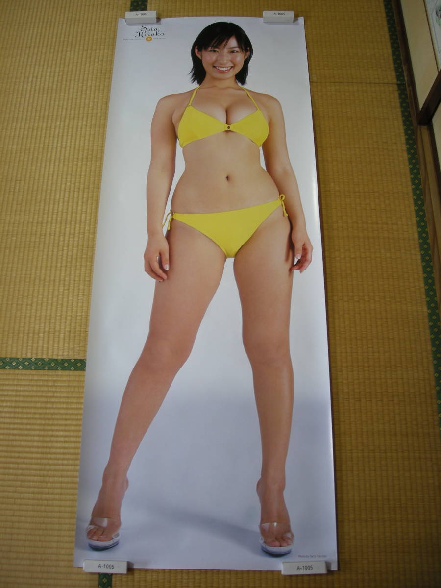 磯山さやか 等身大ポスター 週刊プレイボーイ 応募者全員サービス