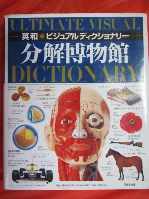 ビジュアル博物館シリーズ 19冊 同朋社