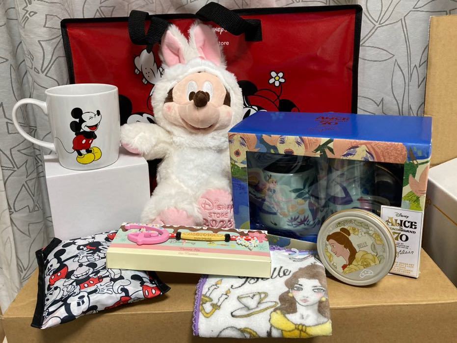 未使用 ディズニー 福袋 23 ディズニーストア品 の落札情報詳細 ヤフオク落札価格情報 オークフリー スマートフォン版