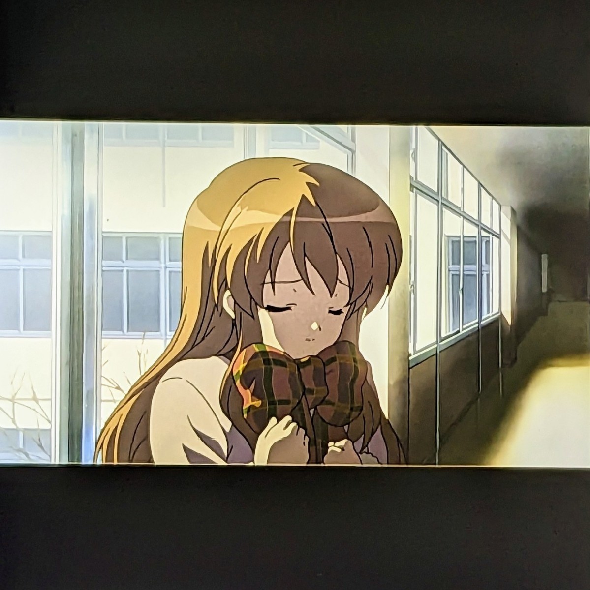 劇場版 涼宮ハルヒの消失 入場者 特典 フィルム 長門有希