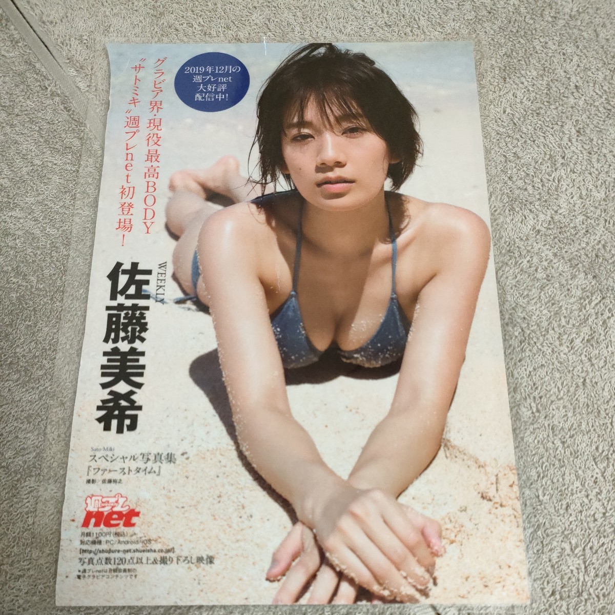 週刊プレイボーイ」グラビア切り抜き集