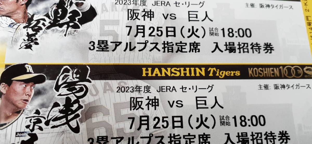6月24日（日）阪神vs広島 1塁アルプス ファミリーシート引換券