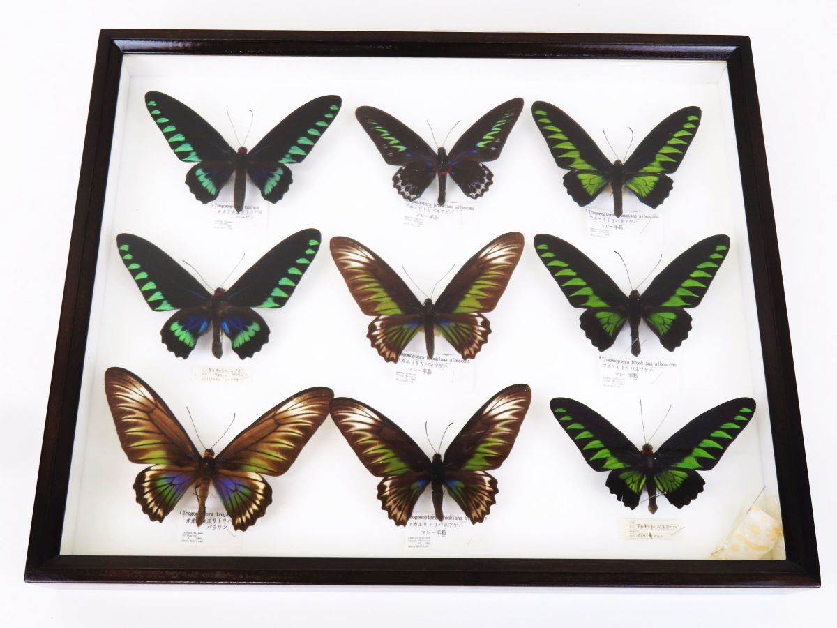 テイクアウトおよび役立つリソース