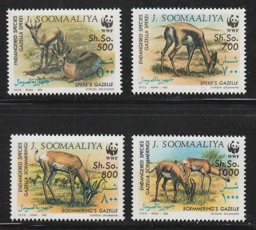  Appleの「Apps for Earth」キャンペーンで世界自然保護基金に800万ドル以上を集める