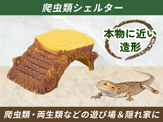 クワガタ　テラリウム カブト×クワガタ×苔テラリウム｜muu。