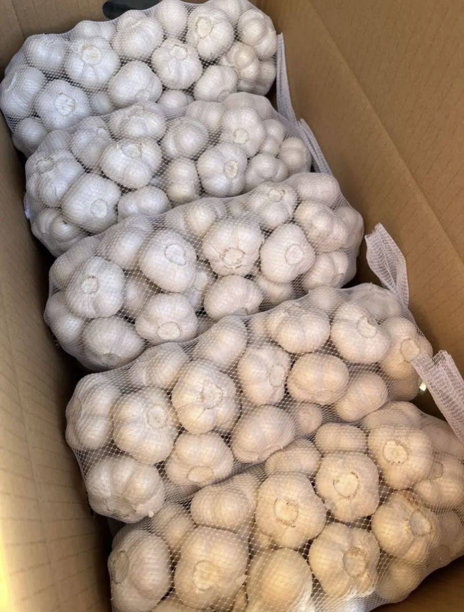 令和5年青森県産 乾燥にんにく 福地ホワイト六片 小 ２０ｋｇ 令和5年青森県産 乾燥にんにく 福地ホワイト六片 小 20kg