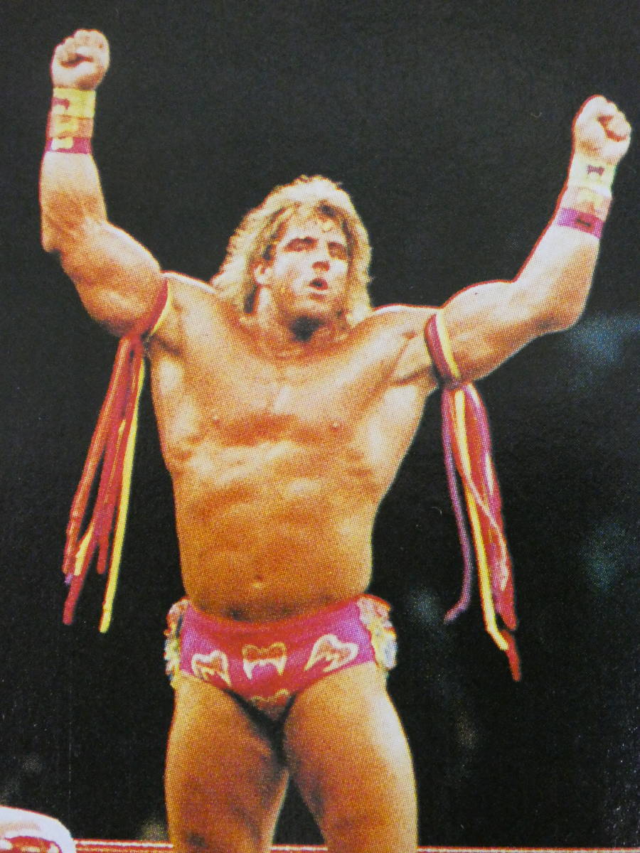 80s アルティメット・ウォリアー Tシャツ ビンテージ プロレス WWF