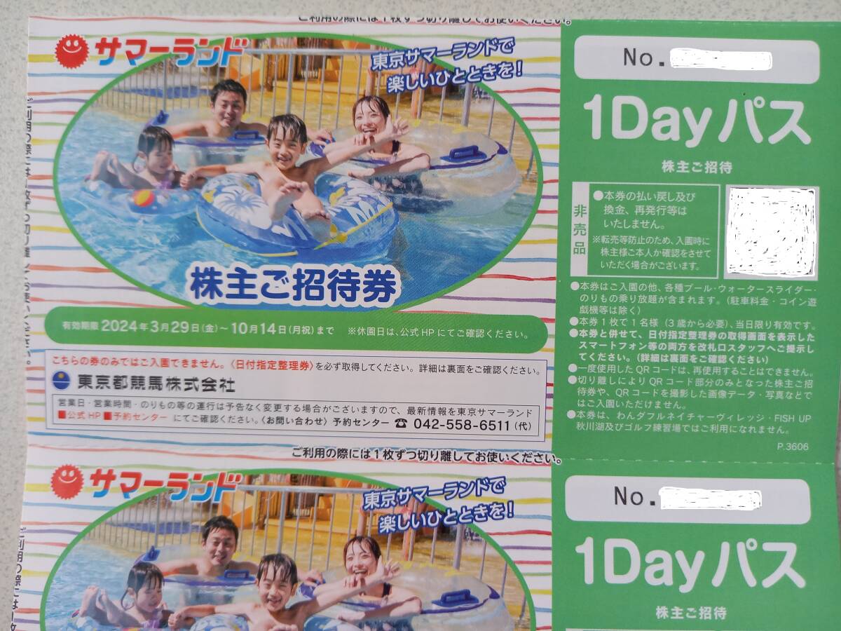 東京都競馬 東京サマーランド 1Dayパス 4枚 東京サマーランド 1Dayパス