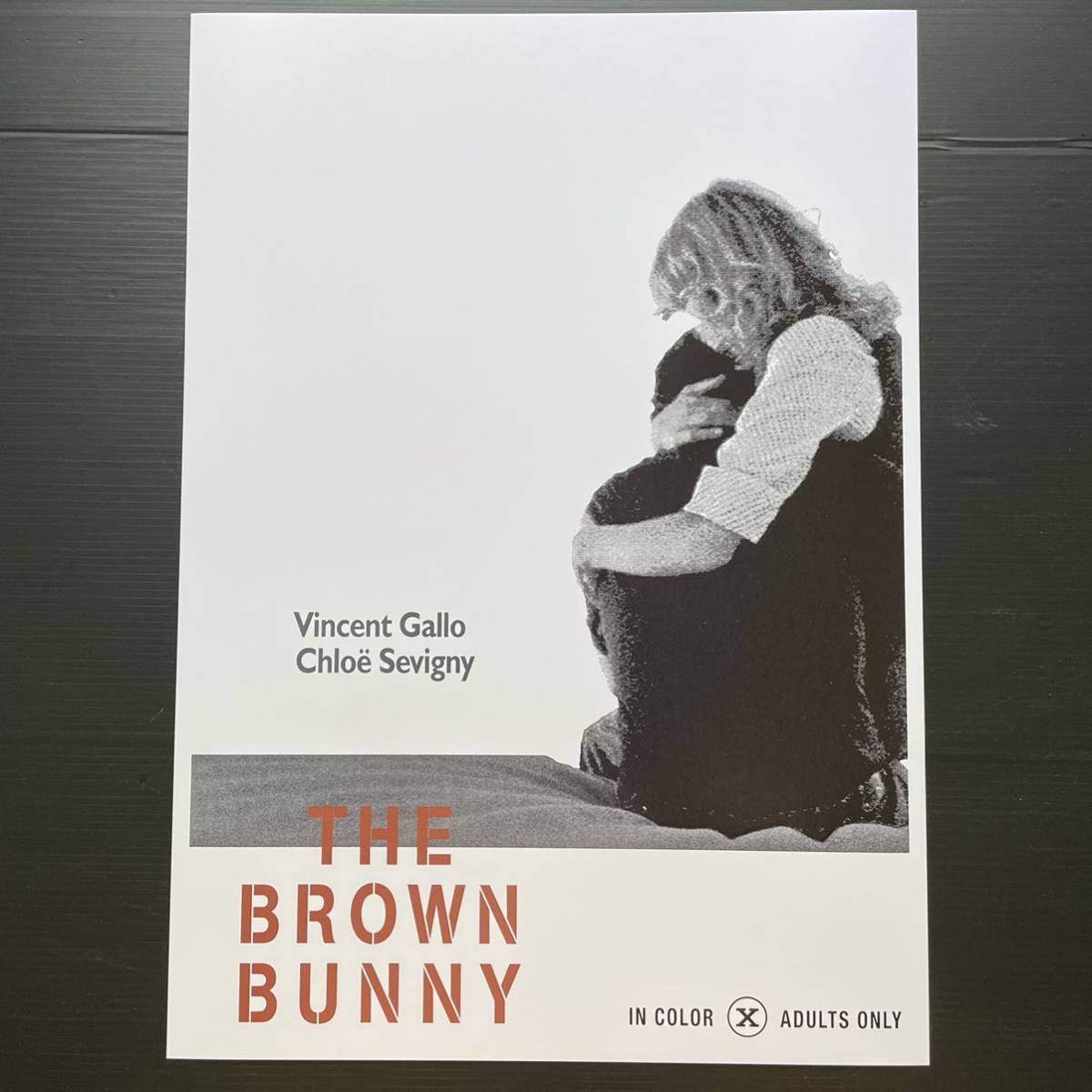 中古】サントラCD ブラウン・バニー the brown bunny ヴィンセント