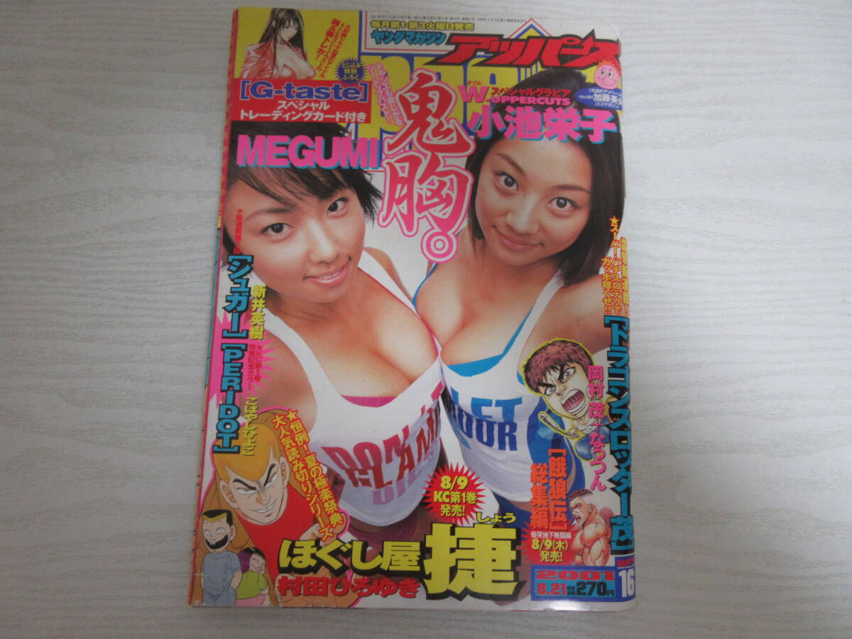根本はるみ 水谷さくら グラビア切抜 週刊ヤングマガジン No.1160 講談社 ヤングマガジン MEGUMI 根本はるみ 小林恵美 瀬戸早妃 富田麻帆