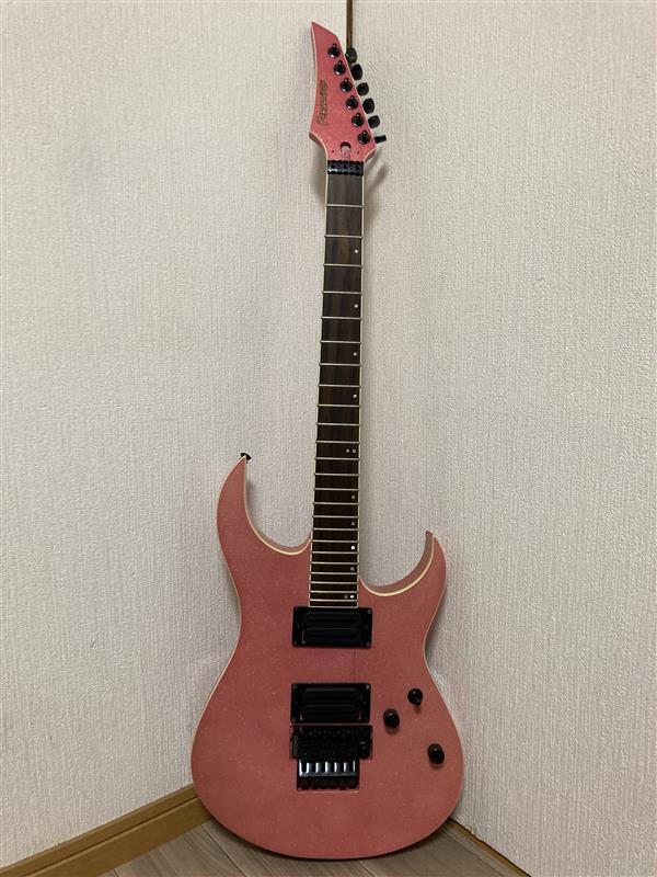 Fernandes APG-100 24フレット 未整備品 レアです！！の落札情報