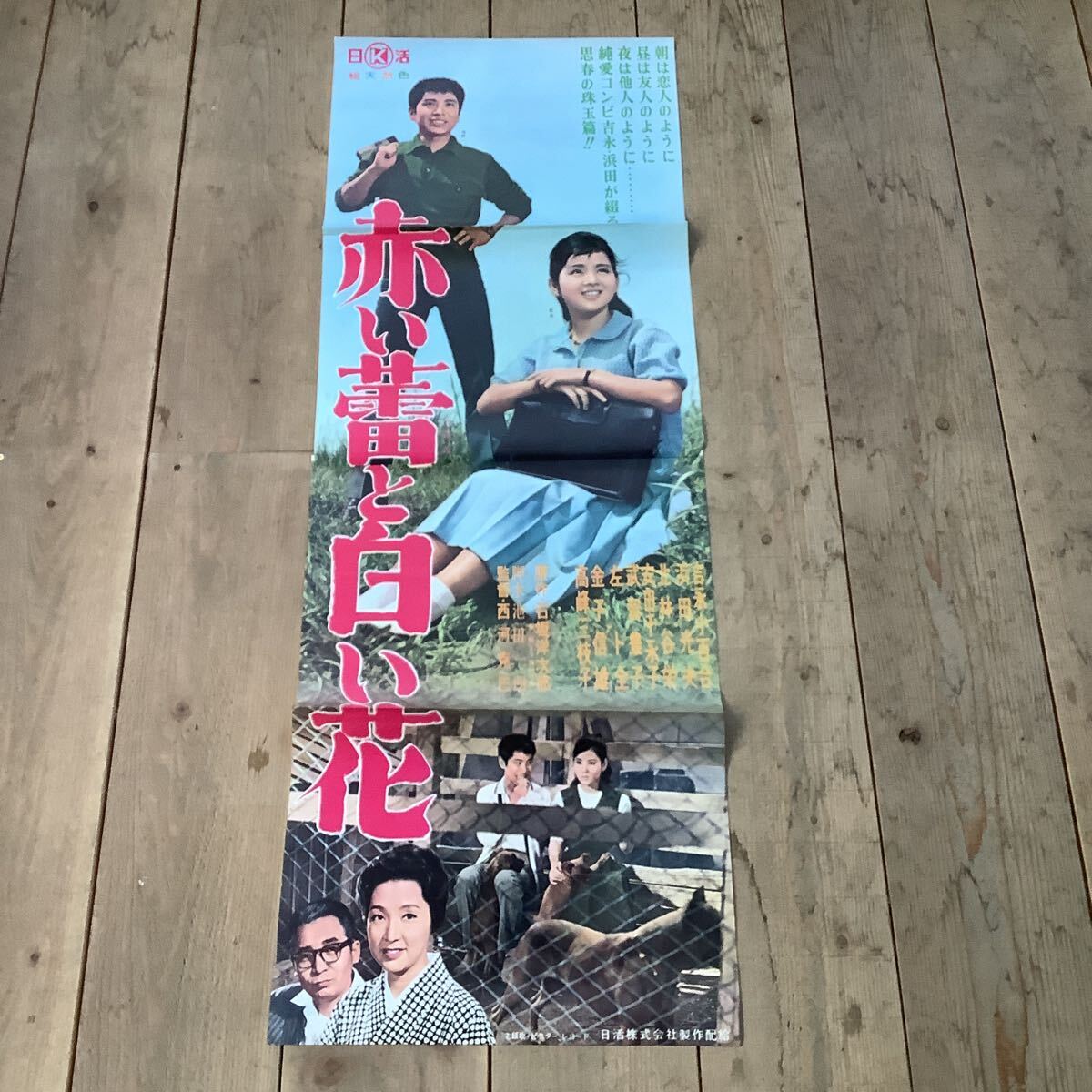 G03/B2判 映画ポスター総天然色「光る海」監督 中平康/吉永