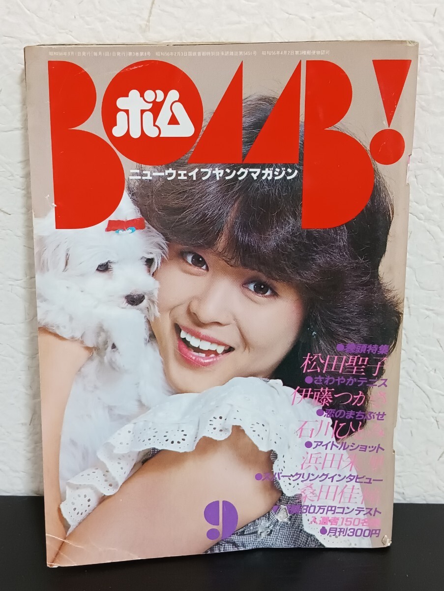 松田聖子 河合奈保子 柏原芳恵 三原順子 藤谷美和子 アイドル・カレンダー 水着(河合奈保子/松田聖子/石川ひとみ/甲斐智枝美他) 寺尾聰