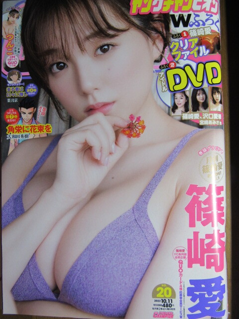 目立った傷や汚れなし】YK3号 宮崎あさみ サイン入りチェキ応募券3枚の