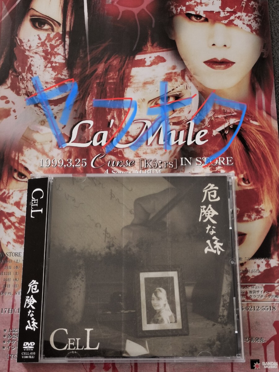 中古】【La'Mule ラムール 物販写真 ⑤ アー写 6枚セット】 CELL
