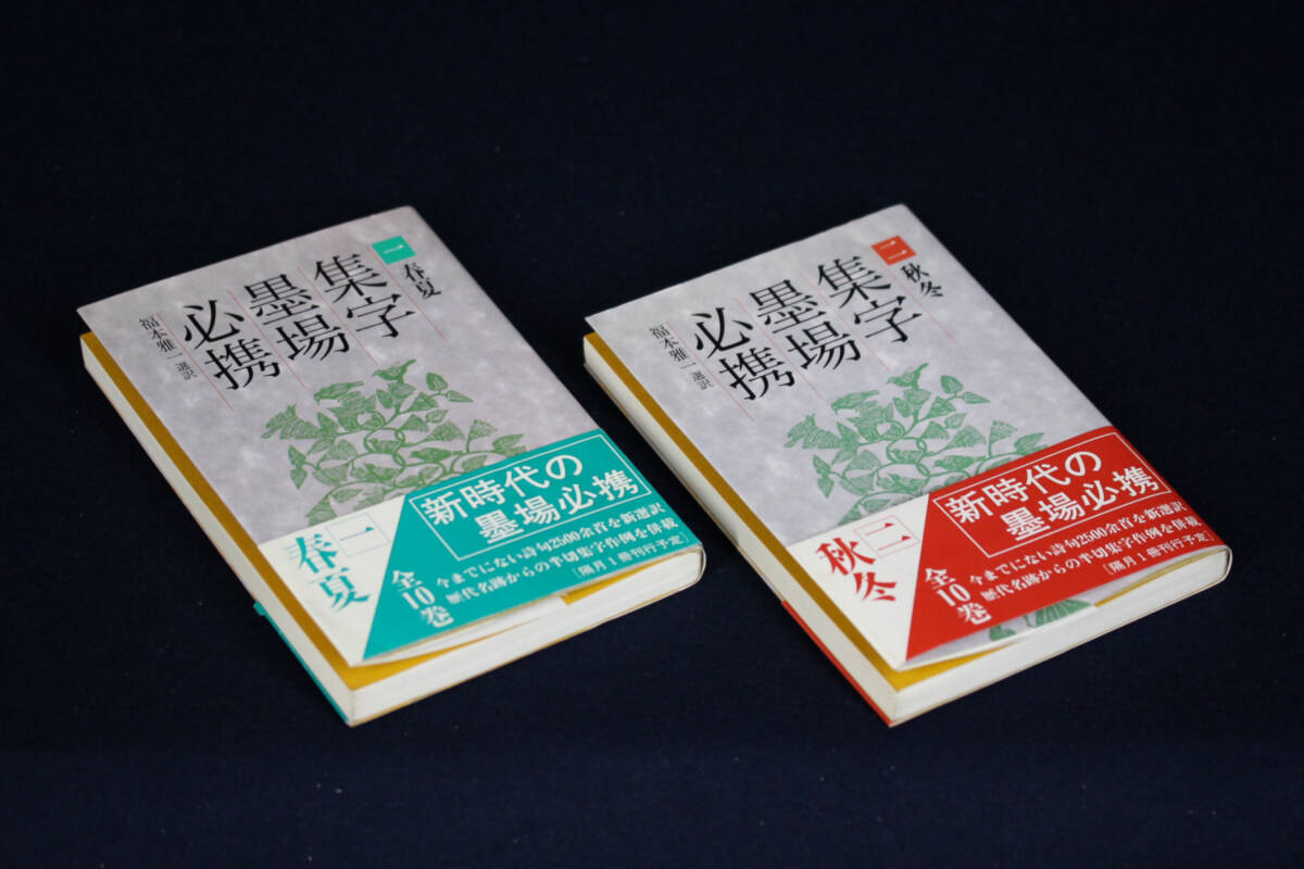 G637 傅山の書法 山内観 二玄社 初版 1994年 書道 の落札情報詳細