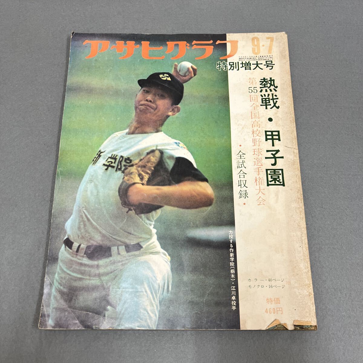 輝け甲子園の星 第62回全国高校野球選手権大会 横浜高校優勝 愛甲猛