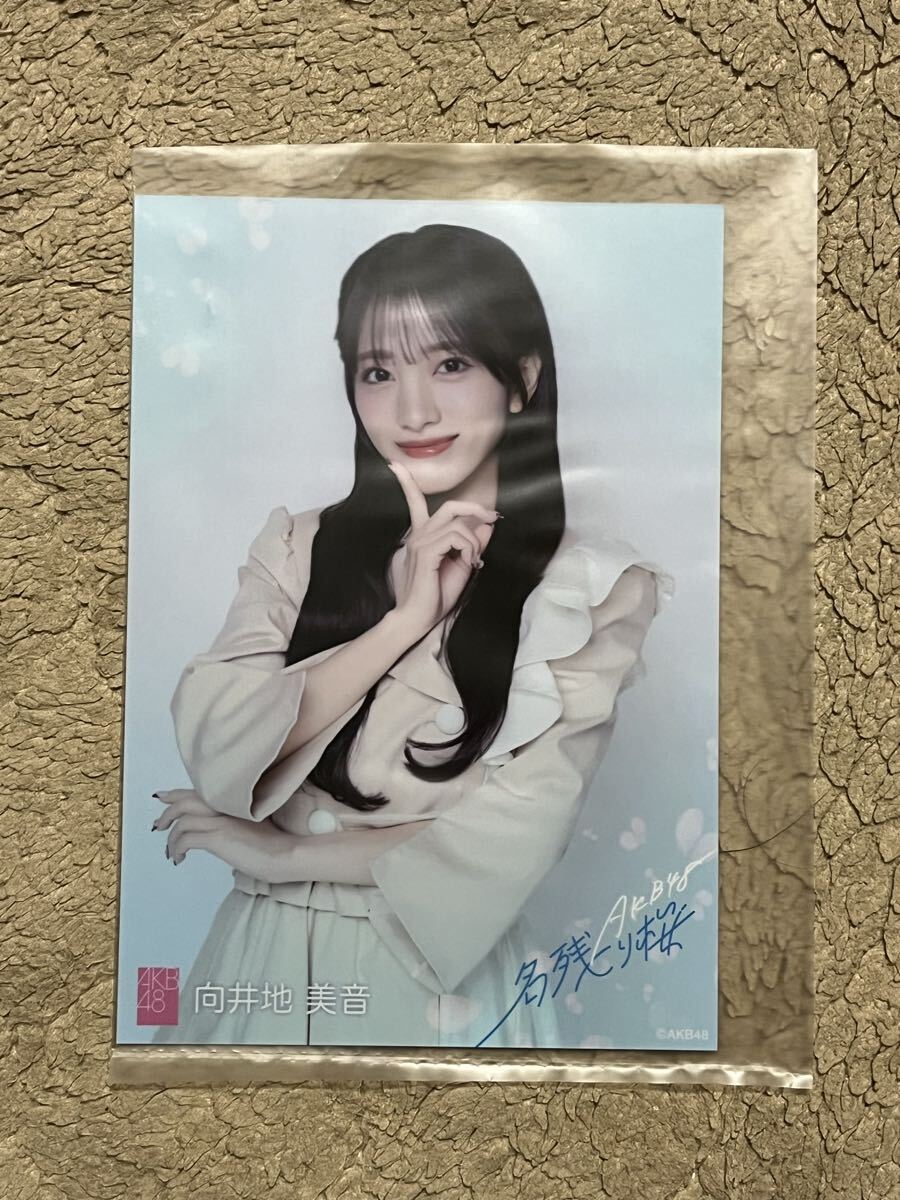 向井地美音 直筆サインチェキ 当選品 AKB48 みーおん