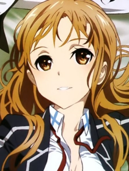 SAO ソードアートオンライン キリト 添い寝 シーツの落札情報詳細