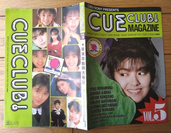 水谷麻里 (漫画家 江口寿史氏夫人)歌手時代fanclub会報3冊限定1セット ♪水谷麻里切り抜き大量46枚！江口寿史妻アイドル沢田玉恵山瀬まみ