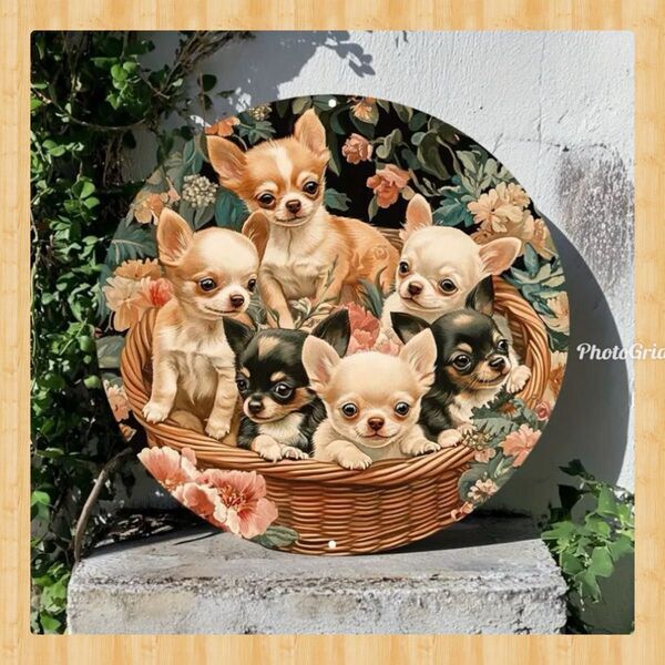 新品】saburina☆石犬☆ロングコートチワワ☆ストーンアート☆ペーパー