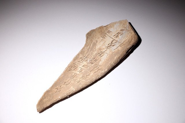 中国殷(商)時代 漢字の初源 甲骨文字が彫られた 亀の甲羅 腹甲 甲骨器