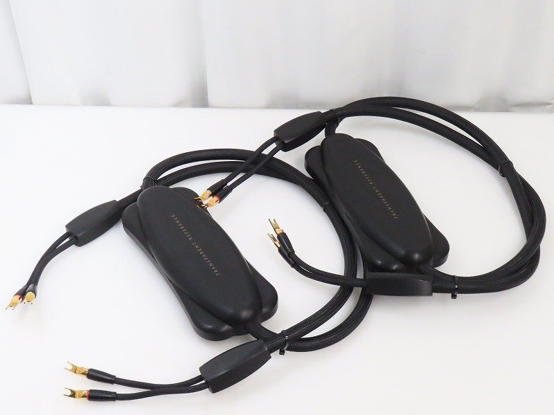 ☆NAPOLEX TPH-100 ヘッドホン ブラック Transparent ナポレックス