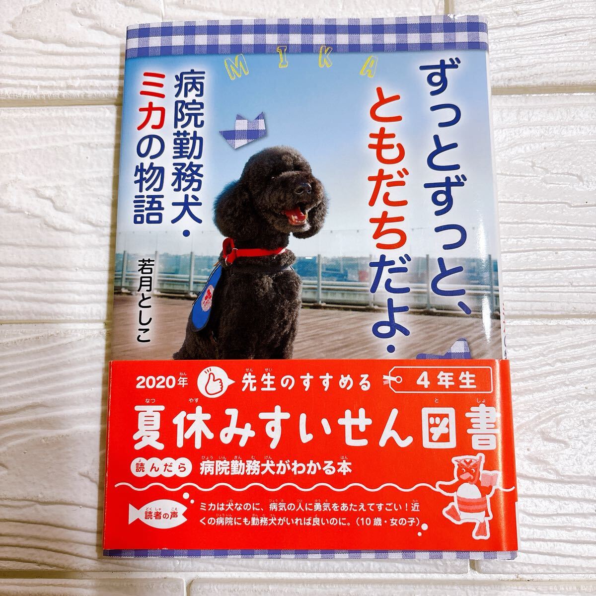 チョウのいる丘 那須田稔 市川禎男 講談社 チョウのいる丘」那須田稔