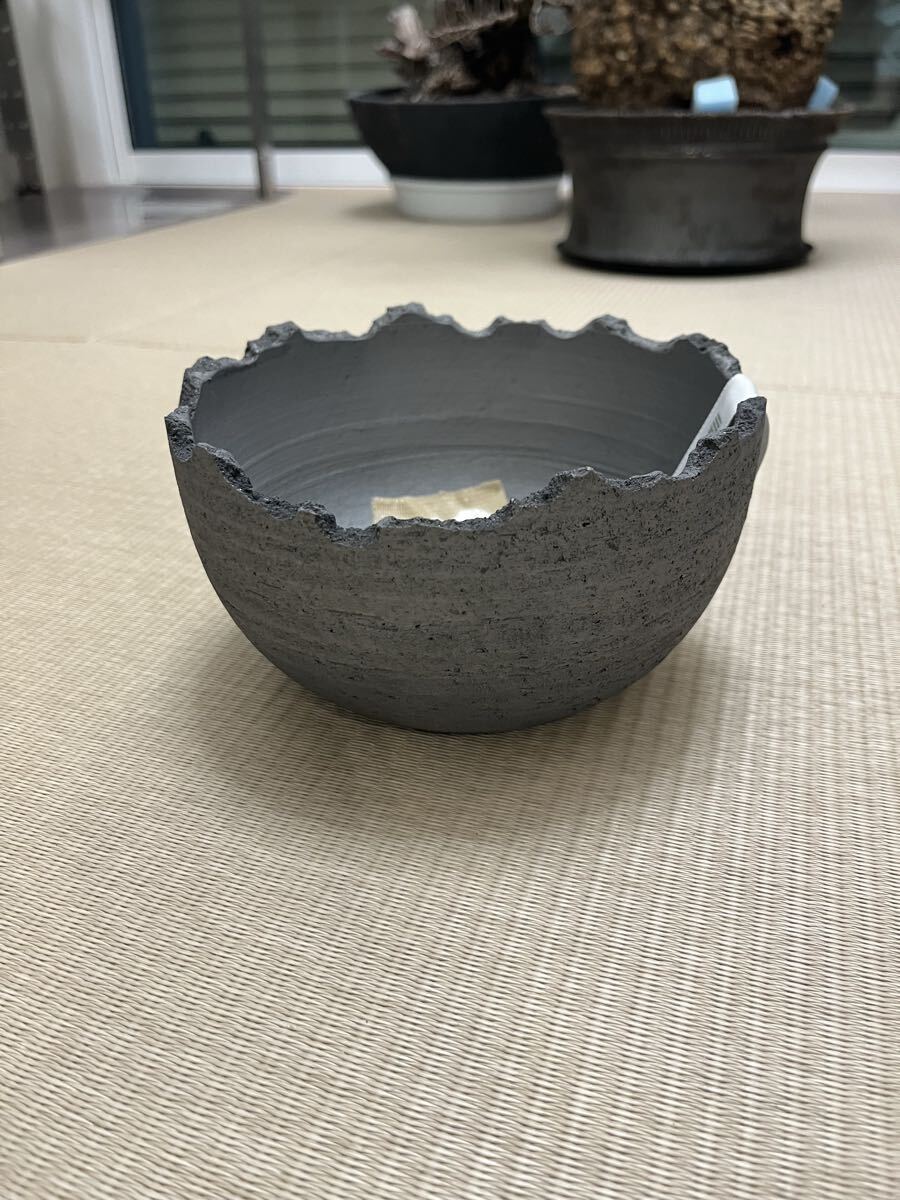 新品】【未使用】invisible ink Classic RAIDEN Pot S 塊根