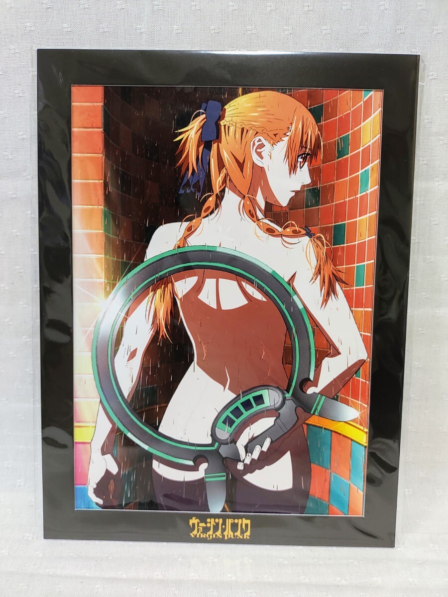 藤原秀一、【ヒュウガミズキ】、希少な限定額装用画集画、新品高級額 額装付 目立った傷や汚れなし】額装品◇藤原紀香 /水着・ハイレグ・ビキニ