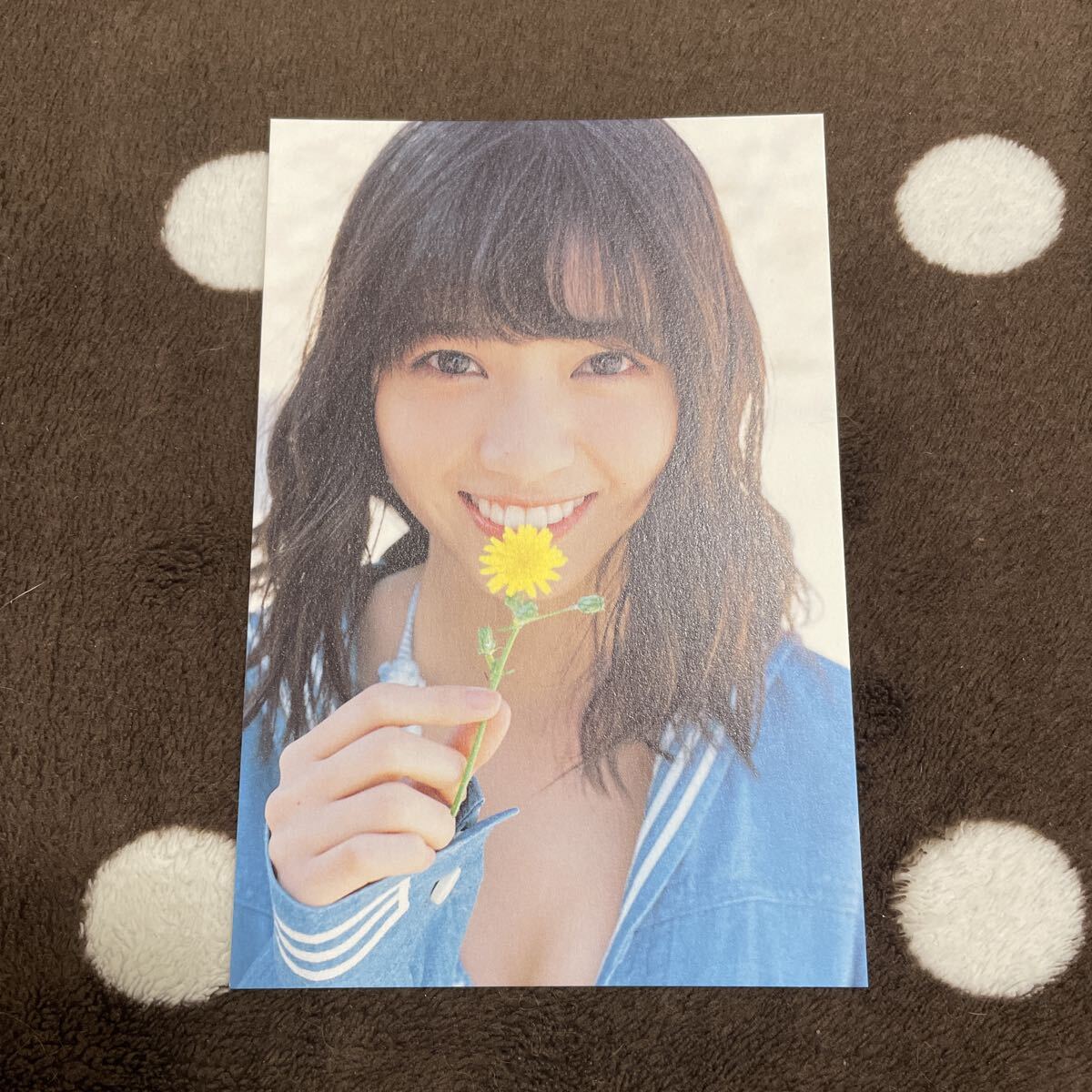 中古】乃木坂46 西野七瀬 直筆サイン入り生写真『風を着替えて』Aの