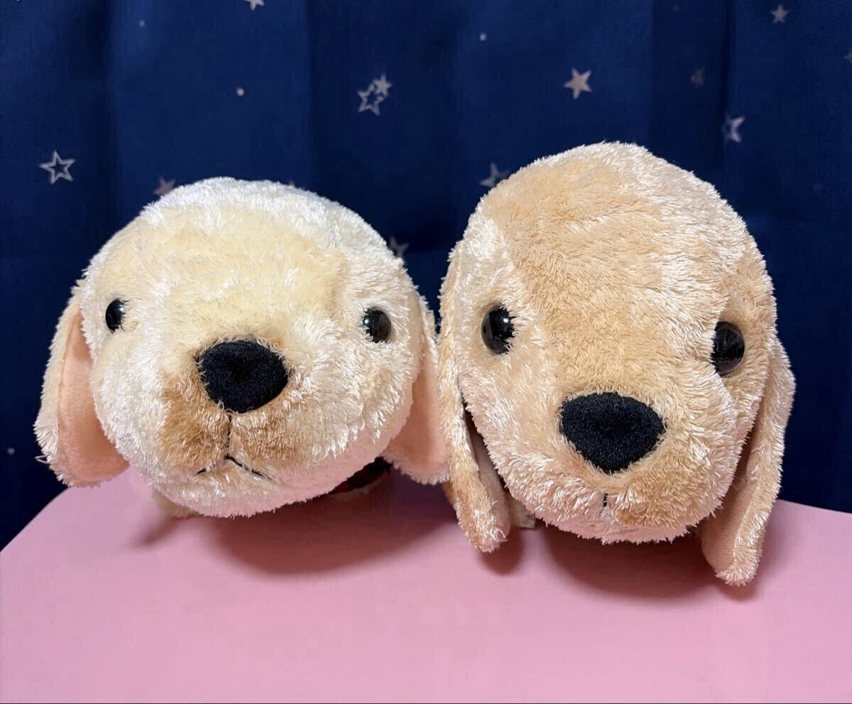 中古】NAO's stuff.inc NAOKO SHINADA 2007 KING＆QUEEN Bear クイーン