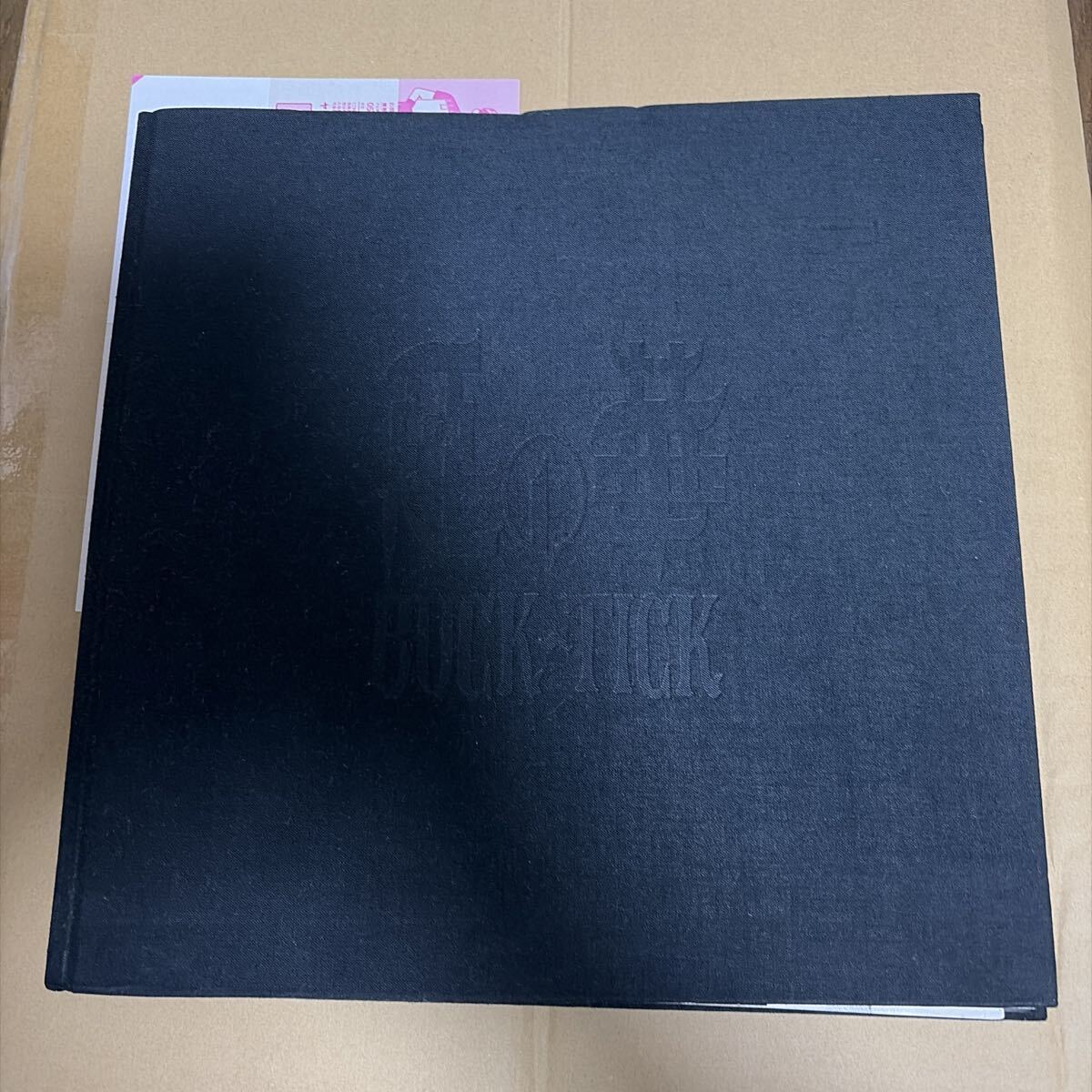 美品 悪の華 バクチク buck-tick 写真集 パンフレット BUCK-TICK | 惡