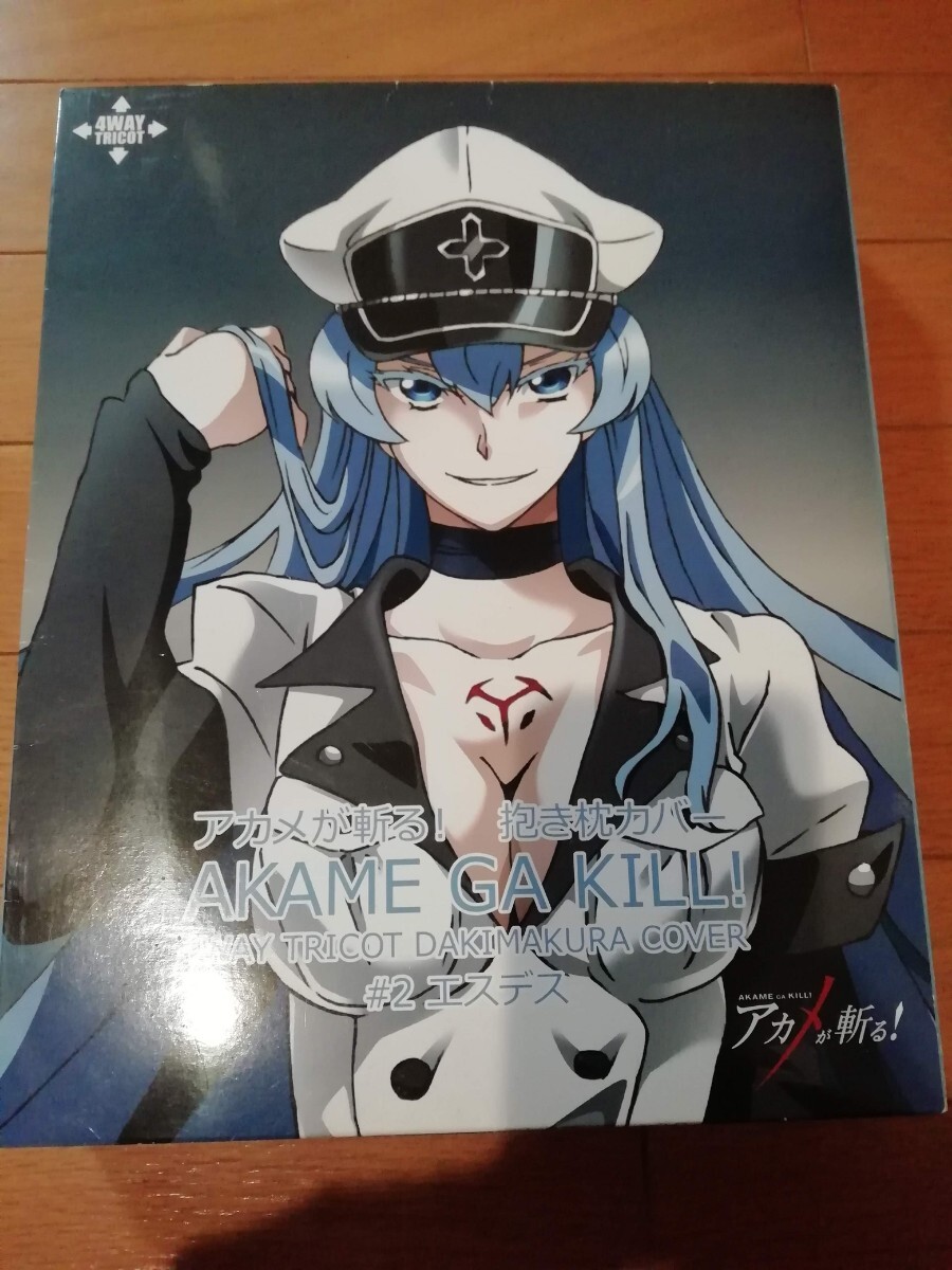 中古】アカメが斬る! 4巻 とらのあな特典小冊子 エスデス様のうすい本