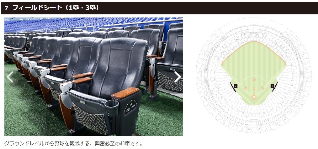 新品】ナゴヤドーム 中日×阪神戦 フィールドシート 一塁側 通路側 ペア