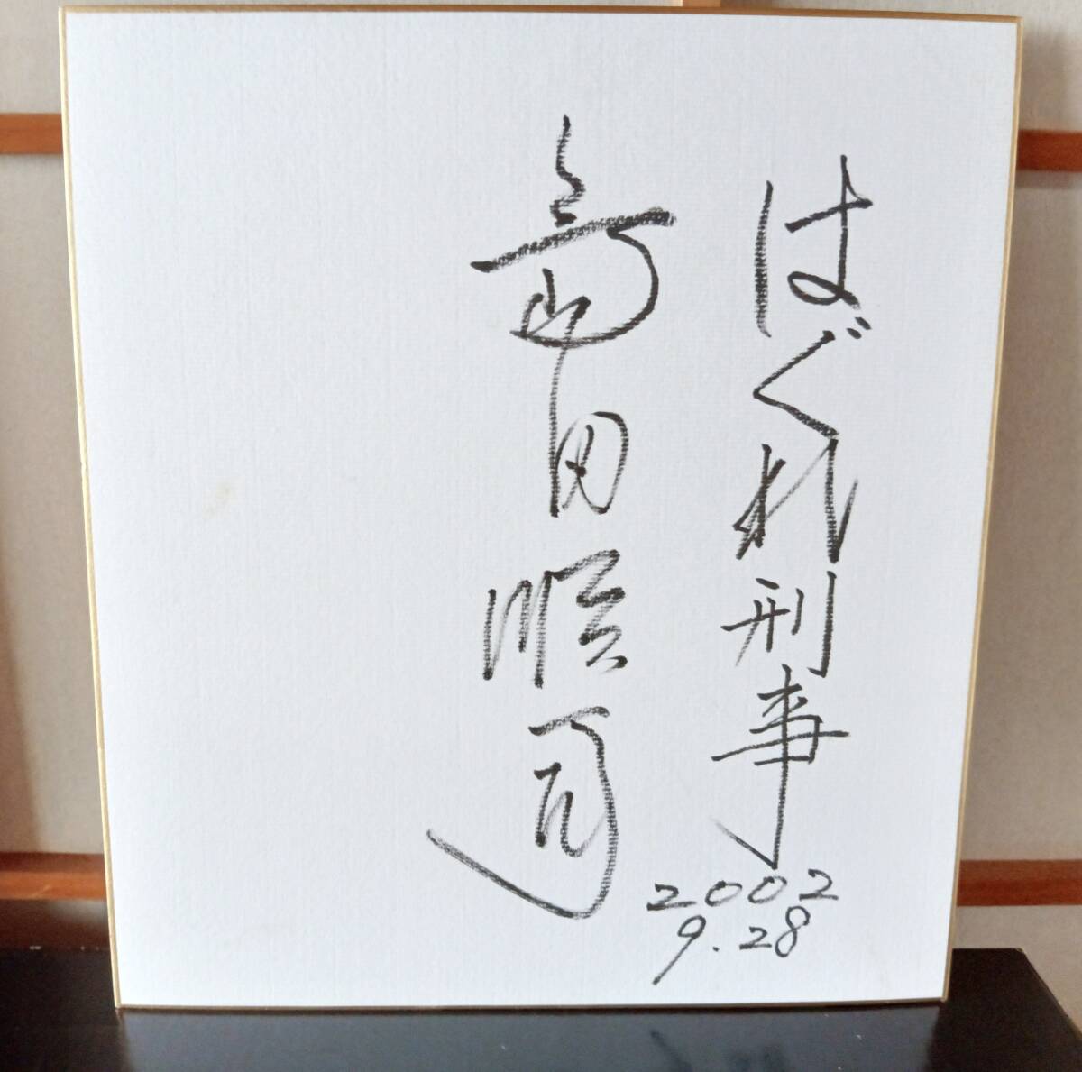 送料無料】入江まゆ子写真集『Mayuko Irie』 暴れん坊将軍 はぐれ刑事