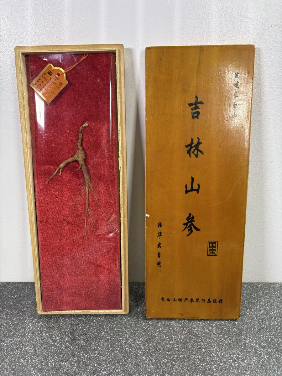 中古】【亀】 朝鮮人参の瓶詰め 高麗人参 漢方薬 置物 韓国雑貨の落札 中古】【亀】 朝鮮人参の瓶詰め 高麗人参 漢方薬 置物 韓国雑貨の落札