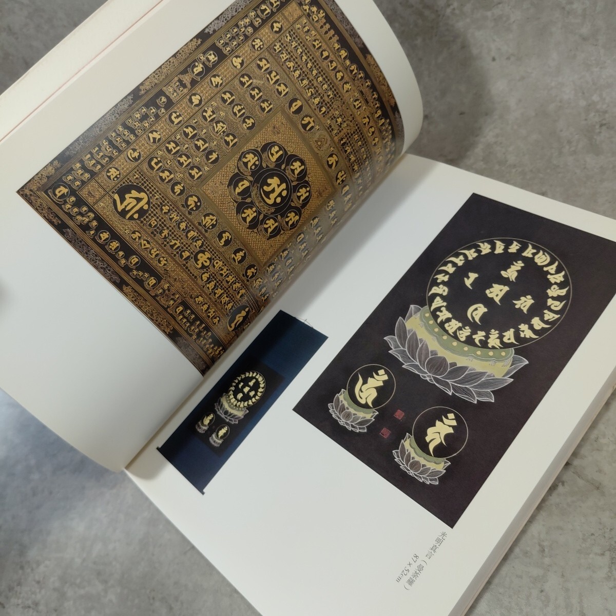中古】掛け軸 仏教美術【白樹謹寫 岩上観音画 細密画 観音画 共箱 菩薩