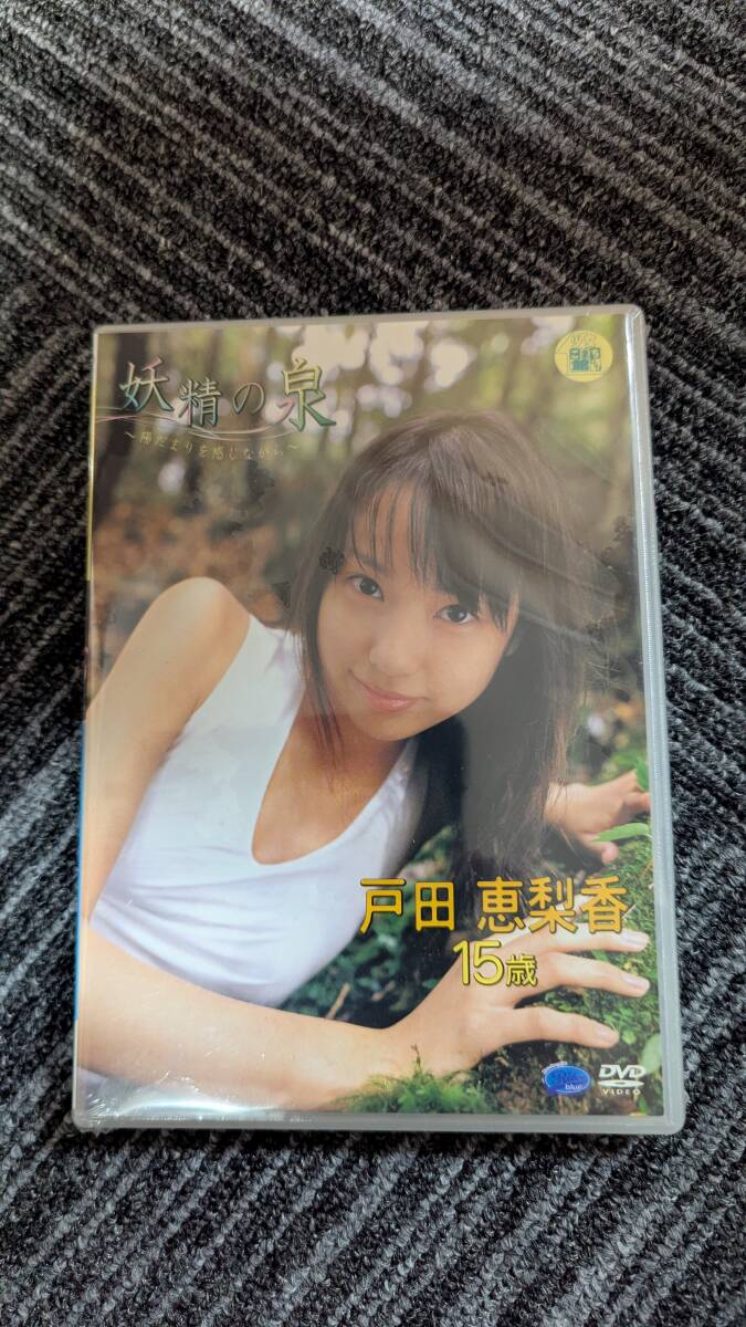 DVD 戸田恵梨香 妖精の泉～陽だまりを感じながら～ の落札情報詳細