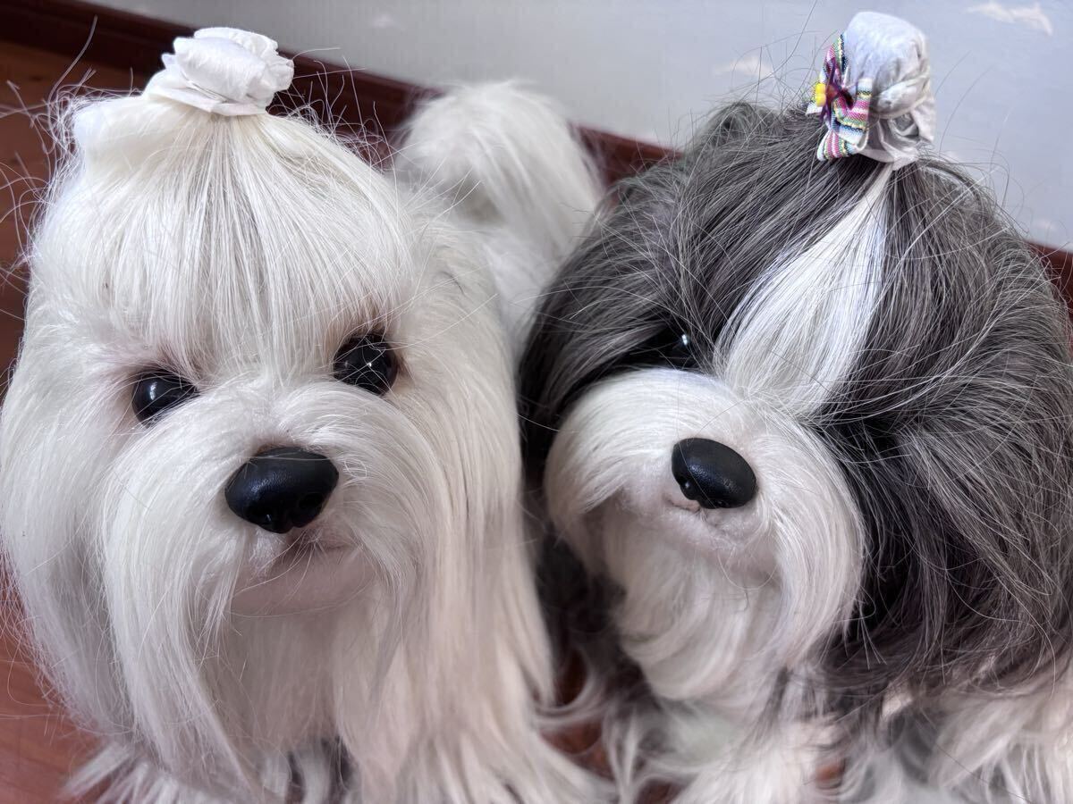 ☆FONTAINE DRESSY PET フォンテーヌ ドレッシーペット シーズー DP