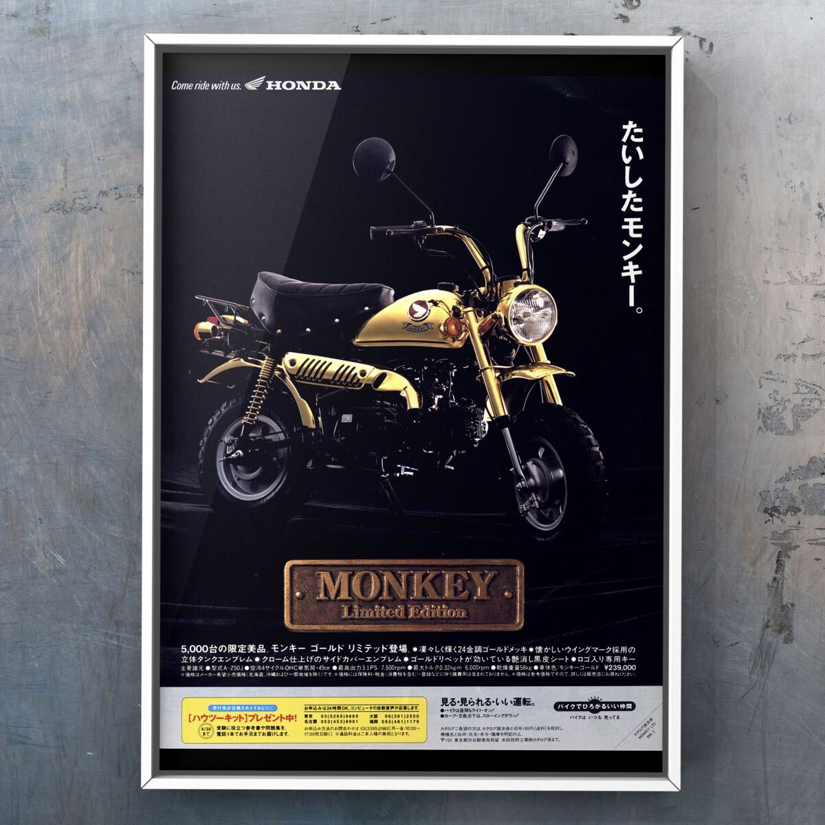 激レア 未組立IMAIイマイ 1/4 HONDA Monkey Limited ホンダモンキー