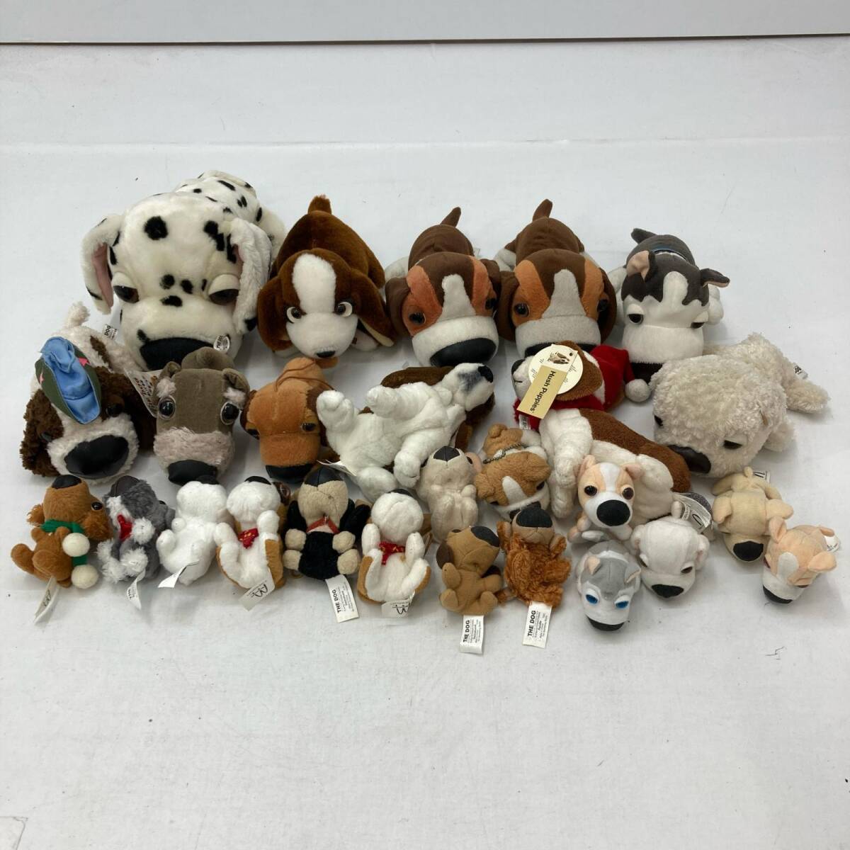 中古】【THE DOG】愛らしいワンちゃんがポケットから覗く、全30種類