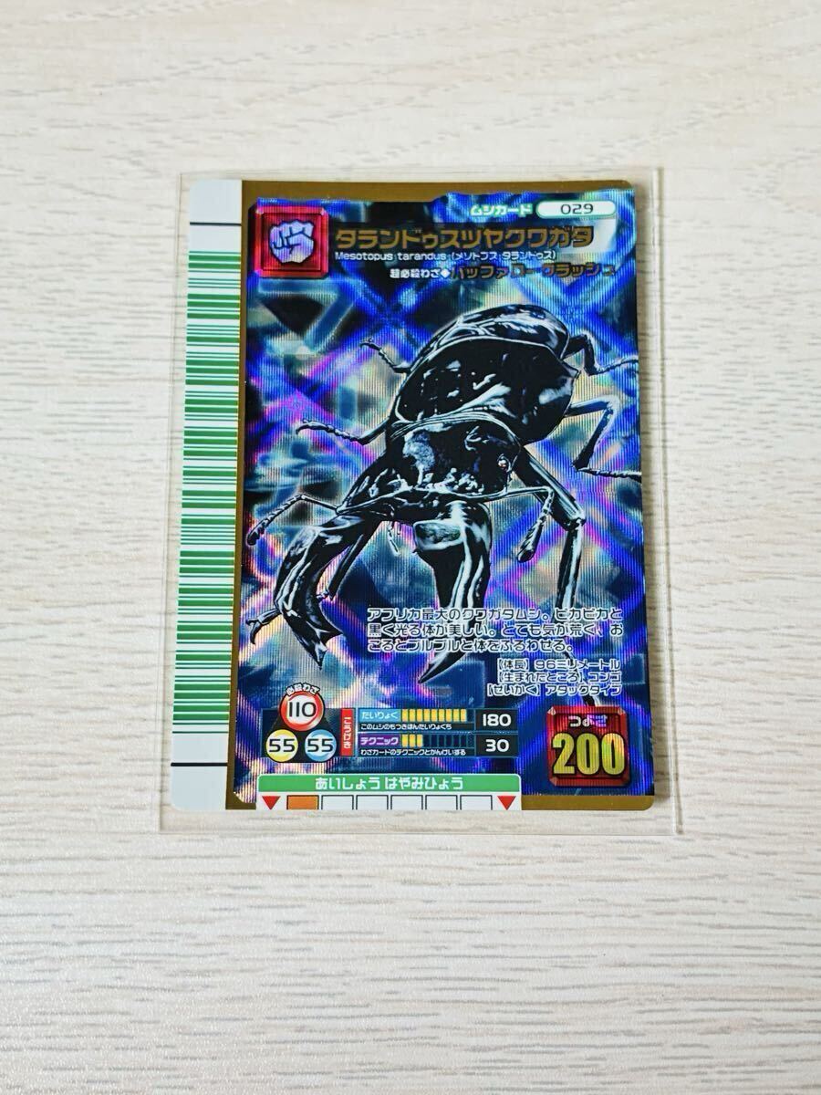 甲虫王者ムシキング ラティペニスツヤクワガタ モンキーシュート2007