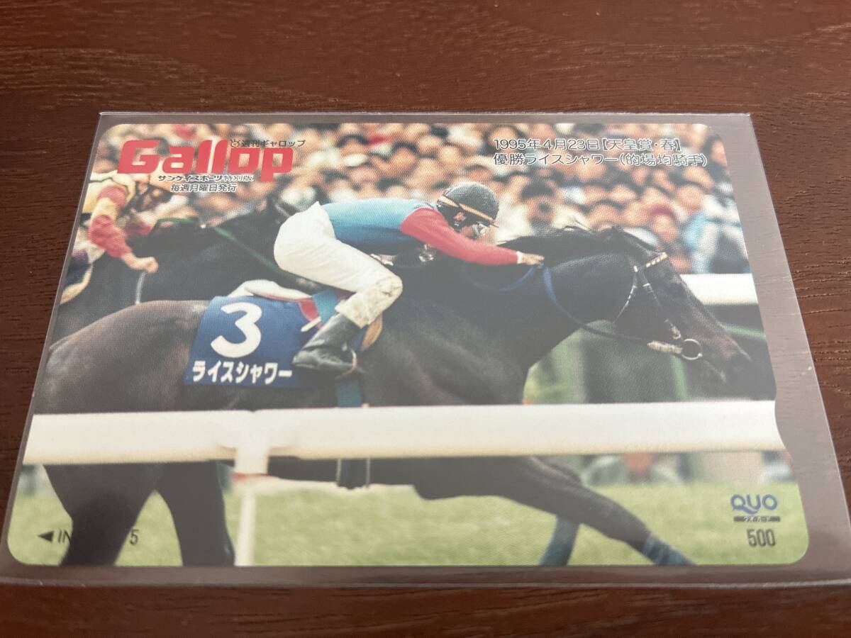 傷や汚れあり】ライスシャワー最期のレース 1995年 第36回宝塚記念