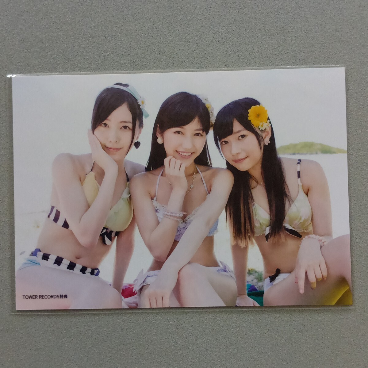 目立った傷や汚れなし】渡辺麻友 AKB48 ラブラドール・レトリバー 通常