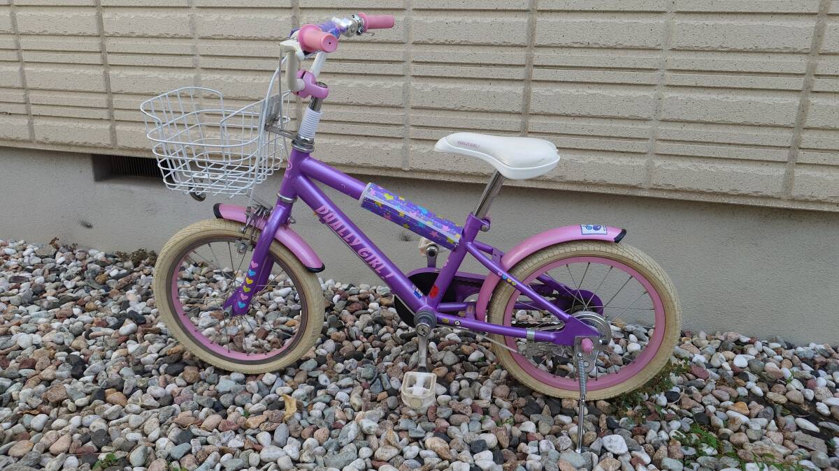 ☆カスタム☆子供用自転車 キッズ 16インチ DUALLY 変速無し 改造塗装