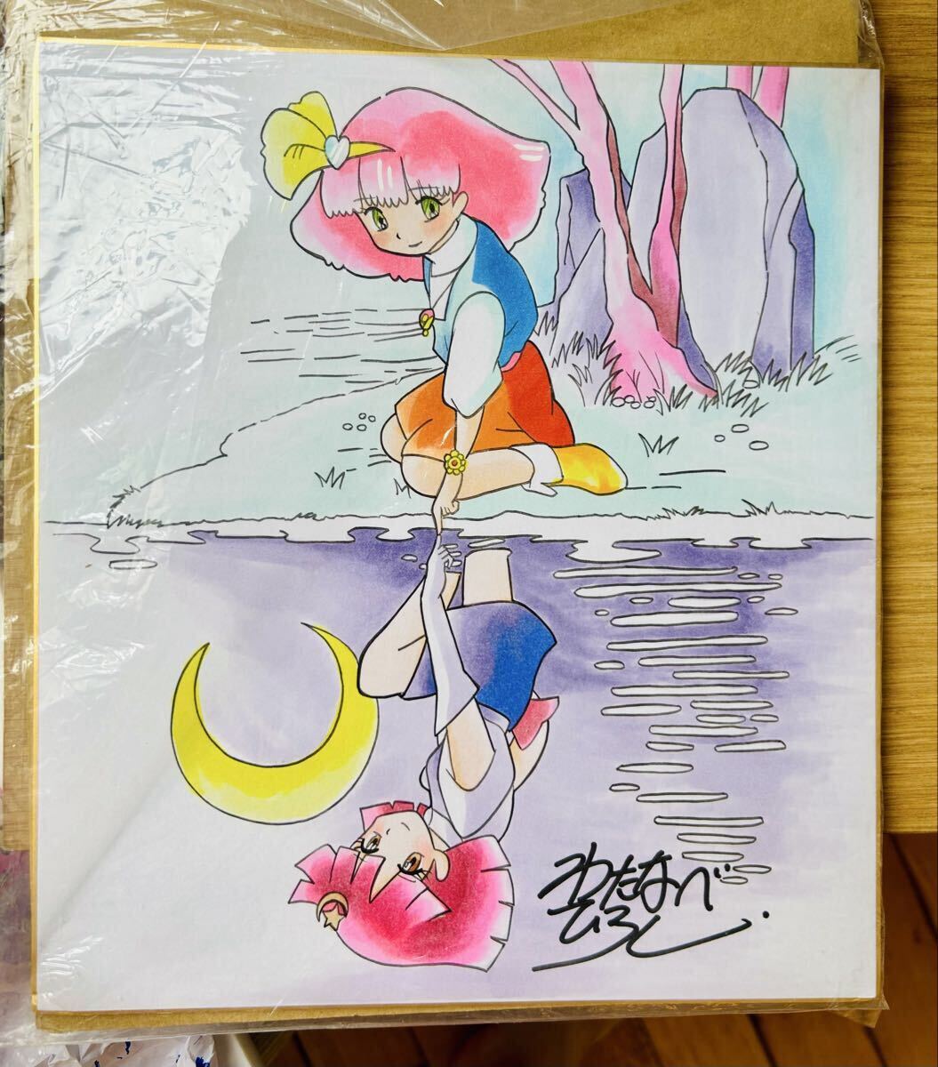 魔法のプリンセス ミンキーモモ 原画 わたなべひろしの落札情報詳細