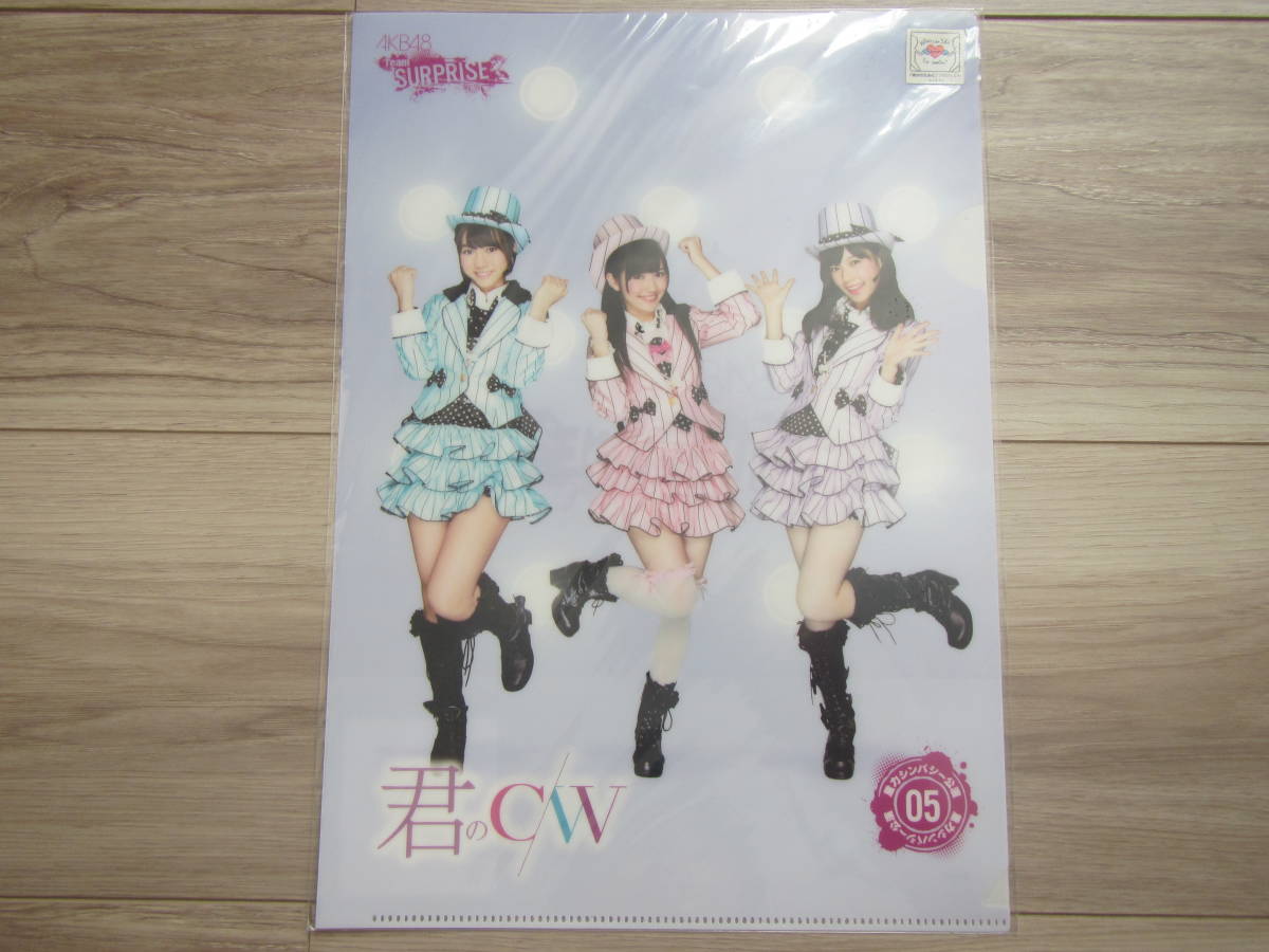 AKB48チームサプライズグッズ AKB48チームサプライズグッズ