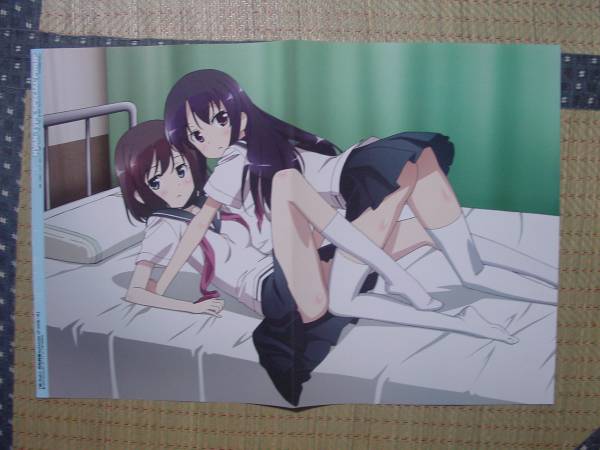 咲 Saki 阿知賀編 園城寺怜 清水谷竜華 ｒｄｇ レッドデータガール 鈴原泉水子 両面ピンナップポスター の落札情報詳細 ヤフオク落札価格情報 オークフリー スマートフォン版