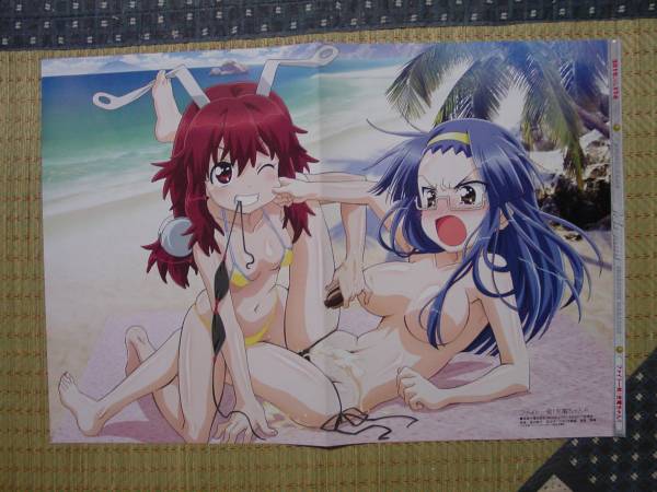 Kiss Sis キスシス 住之江あこ 住之江りこ ファイト一発 充電ちゃん ぷらぐ アレスタ 水着 両面ピンナップポスター の落札情報詳細 ヤフオク落札価格情報 オークフリー スマートフォン版